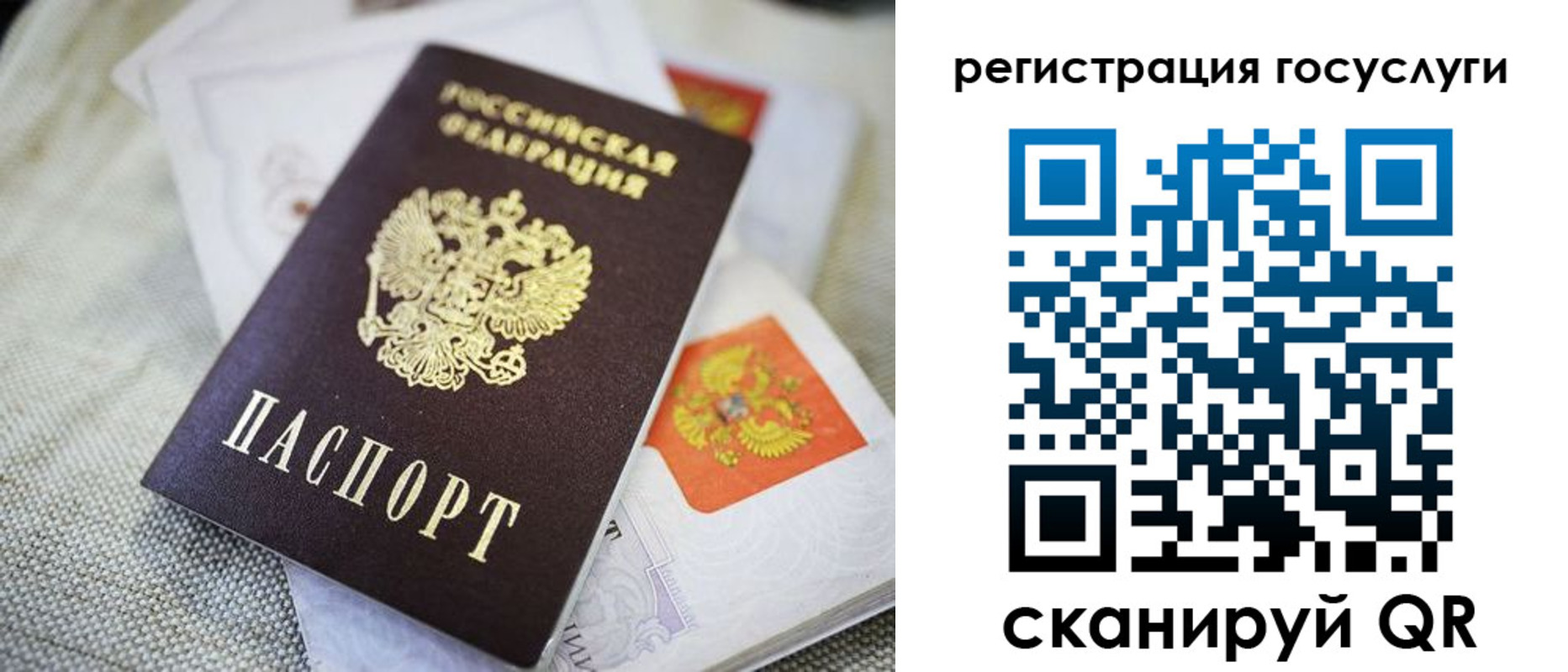 прописка гарантия в Амурске